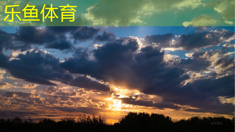 leyu·乐鱼(中国)体育官方网站,家用车塑胶跑道