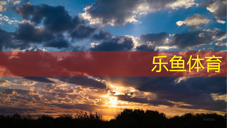 乐鱼体育,洛阳弹性塑胶跑道
