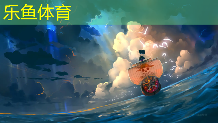 城口全塑型塑胶跑道